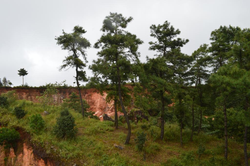 Orange Homestay Shillong Buitenkant foto