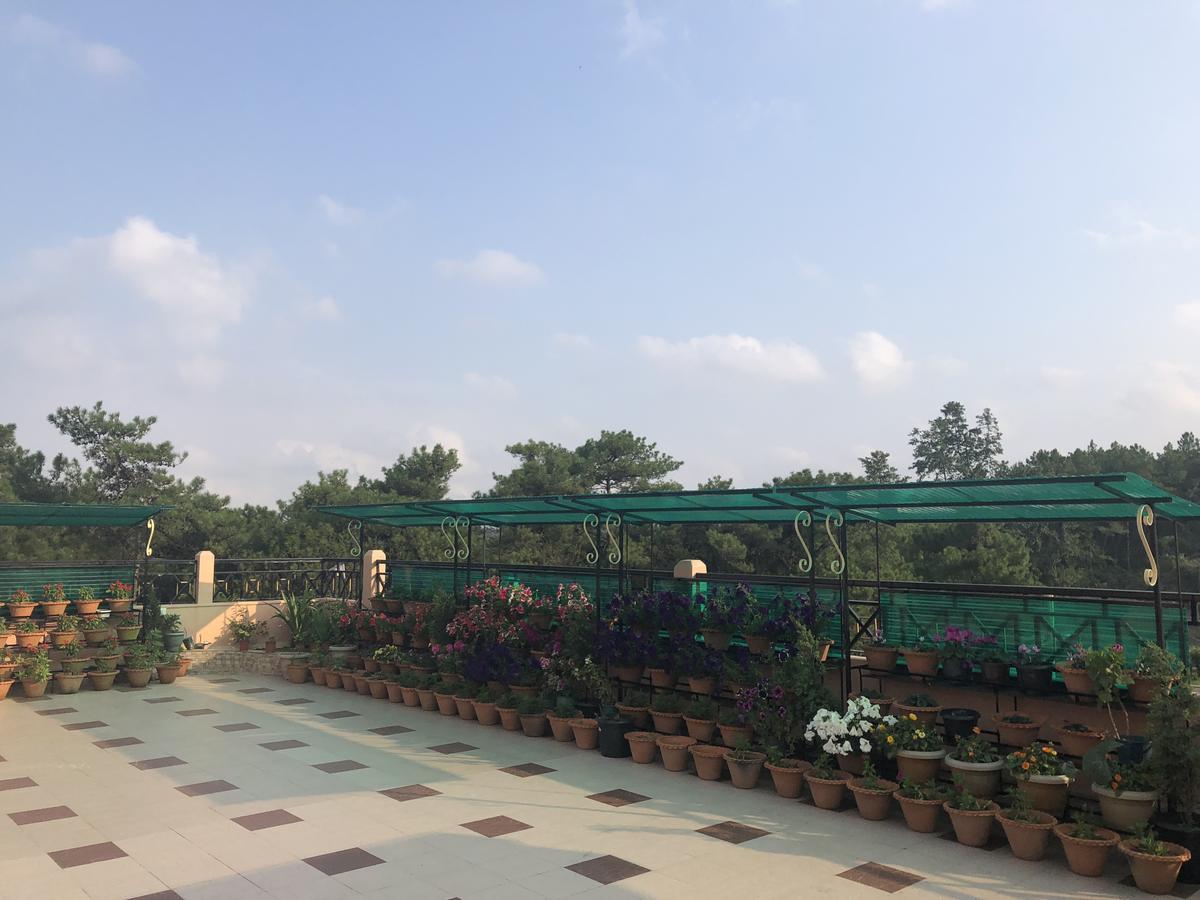 Orange Homestay Shillong Buitenkant foto